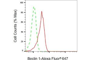 Flow cytometric analysis of Beclin 1 expression in HT- cells using Beclin 1 antibody (ABIN7797760), 1:2,000). (Recombinant Beclin 1 抗体)