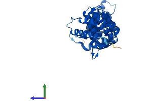 Protein Structure (PS) image for Calcium Binding Protein 39 (CAB39) (AA 1-341) protein (His tag) (ABIN7552827)