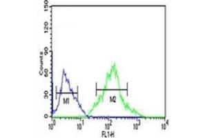 FOXP1 antibody flow cytometric analysis of Ramos cells (right histogram) compared to negative control cells (left histogram). (FOXP1 抗体  (AA 650-677))