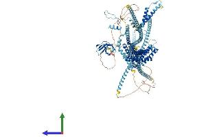 Protein Structure (PS) image for Dynactin 1 (DCTN1) (AA 1-1278) protein (His tag) (ABIN7553616)