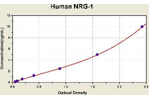 Diagramm of the ELISA kit to detect Human NRG-1with the optical density on the x-axis and the concentration on the y-axis. (Neuregulin 1 ELISA 试剂盒)
