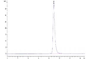 Size-exclusion chromatography-High Pressure Liquid Chromatography (SEC-HPLC) image for MHC Class I Polypeptide-Related Sequence A (MICA) (AA 1-284) protein (His tag) (ABIN7275254)