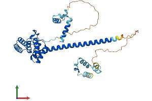 AlphaFold protein structure predicition of Human Recombinant ST13 Protein, UniprotID P50502