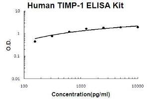 Human TIMP-1 PicoKine ELISA Kit standard curve (TIMP1 ELISA 试剂盒)