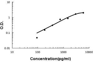 anti-Chemokine (C-X-C Motif) Ligand 16 (CXCL16) (AA 30-196) antibody
