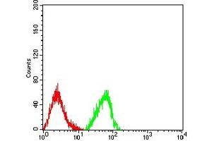 Flow cytometric analysis of HL-60 cells using CD18 mouse mAb (green) and negative control (red). (Integrin beta 2 抗体  (AA 559-700))