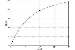 A typical standard curve (BCL2L2 ELISA 试剂盒)