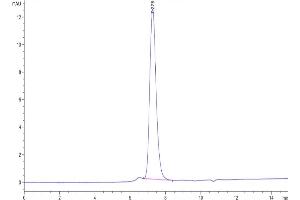 Size-exclusion chromatography-High Pressure Liquid Chromatography (SEC-HPLC) image for Killer Cell Immunoglobulin-Like Receptor, Two Domains, Long Cytoplasmic Tail, 3 (KIR2DL3) (AA 22-245) protein (His-Avi Tag,Biotin) (ABIN7275089)