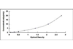 Typical standard curve (LRRC15 ELISA 试剂盒)