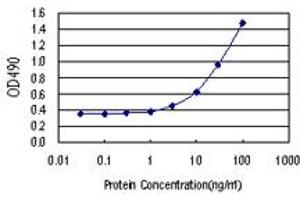 Sandwich ELISA detection sensitivity ranging from 3 ng/mL to 100 ng/mL. (DGKZ (人) Matched Antibody Pair)