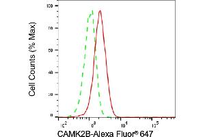 Flow cytometric analysis of CAMK2B expression in HAP-1 cells using CAMK2B antibody (ABIN7797834), 1:2,000). (Recombinant CAMK2B 抗体)