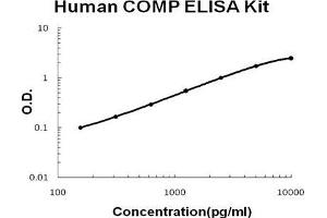 Human COMP PicoKine ELISA Kit standard curve (COMP ELISA 试剂盒)