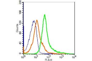 RSC96 cells probed with CD163/M130 Polyclonal Antibody, ALEXA FLUOR® 647 Conjugated (bs-2527R-A647) at 1:20 for 30 minutes compared to control cells (blue)and isotype control (orange). (CD163 抗体  (AA 1001-1121) (Alexa Fluor 647))