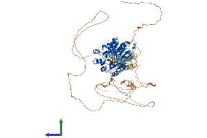 Protein Structure (PS) image for DEAD (Asp-Glu-Ala-Asp) Box Polypeptide 20 (DDX20) (AA 1-824) protein (His tag) (ABIN7553663)