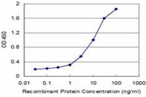 Detection limit for recombinant GST tagged SFN is approximately 0. (14-3-3 sigma/SFN 抗体  (AA 1-248))