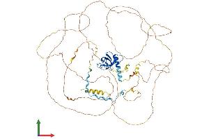 AlphaFold protein structure predicition of Mouse Recombinant Pram1 Protein, UniprotID Q6BCL1
