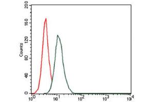 Flow Cytometry (FACS) image for anti-Hyaluronan Synthase 3 (HAS3) antibody (ABIN1845757) (HAS3 抗体)