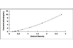 Typical standard curve (LTBP1 ELISA 试剂盒)