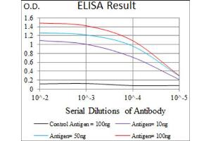 Red: Control Antigen (100ng) ; Purple: Antigen (10ng) ; Green: Antigen (50ng) ; Blue: Antigen (100ng). (EGFR Mutant (AA 693-893), (Mutant) 抗体)