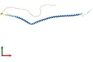 Protein Structure (PS) image for Arginine and Glutamate Rich 1 (ARGLU1) (AA 1-271) protein (His tag) (ABIN7557218)