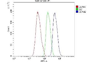 Flow Cytometry analysis of CACO-2 cells using anti-DDAH2 antibody (ABIN4886561).