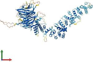 AlphaFold protein structure predicition of Human Recombinant HPS3 Protein, UniprotID Q969F9