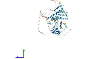 Protein Structure (PS) image for Cactin, Spliceosome C Complex Subunit (CACTIN) (AA 1-758) protein (His tag) (ABIN7553131)