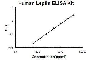 Human Leptin PicoKine ELISA Kit standard curve