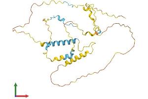 Protein Structure (PS) image for KIAA1191 (KIAA1191) (AA 1-303) protein (His tag) (ABIN7561290)