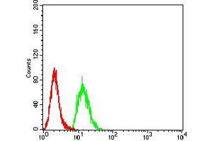 Flow cytometric analysis of Hela cells using KDM3A mouse mAb (green) and negative control (red). (KDM3A 抗体  (AA 311-445))