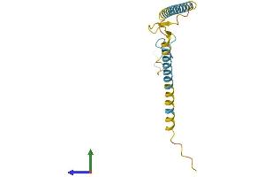 Protein Structure (PS) image for SFRS12-Interacting Protein 1 (SFRS12IP1) (AA 1-153) protein (His tag) (ABIN7557396)