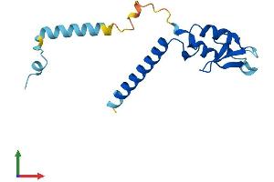 Protein Structure (PS) image for Ring Finger Protein 181 (RNF181) (AA 1-153) protein (His tag) (ABIN7551483)
