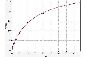 Alcohol Dehydrogenase 1 (Class I) (ADH1) ELISA Kit