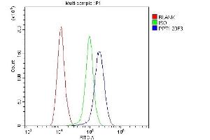 Flow Cytometry analysis of THP-1 cells using anti- PPT1 antibody (ABIN6719501). (PPT1 抗体  (C-Term))