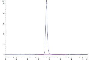 The purity of Human PLXNA1 is greater than 95 % as determined by SEC-HPLC.