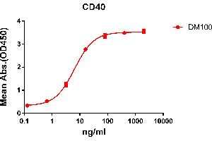 ELISA image for anti-CD40 (CD40) (AA 21-193) antibody (ABIN7092901)