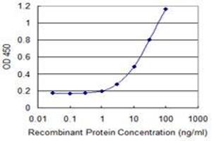Detection limit for recombinant GST tagged PCSK2 is 0. (PCSK2 抗体  (AA 501-609))