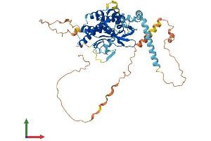 Protein Structure (PS) image for Patatin-Like phospholipase Domain Containing 2 (PNPLA2) (AA 1-504) protein (His tag) (ABIN7555029)