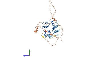 Protein Structure (PS) image for Growth Factor Independent 1B Transcription Repressor (GFI1B) (AA 1-330) protein (His tag) (ABIN7554013)