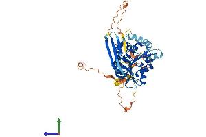 Protein Structure (PS) image for Abhydrolase Domain Containing 8 (ABHD8) (AA 1-439) protein (His tag) (ABIN7551893)