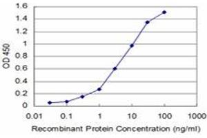 Detection limit for recombinant GST tagged DNTT is approximately 0. (TdT 抗体  (AA 1-110))