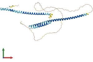 Protein Structure (PS) image for Wilms Tumor 1 Associated Protein (WTAP) (AA 1-396) protein (His tag) (ABIN7561421)