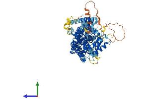 Protein Structure (PS) image for Tubulin, gamma Complex Associated Protein 4 (TUBGCP4) (AA 1-667) protein (His tag) (ABIN7547955)
