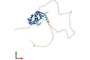 AlphaFold protein structure predicition of Mouse Recombinant Hnrnpa2b1 Protein, UniprotID O88569