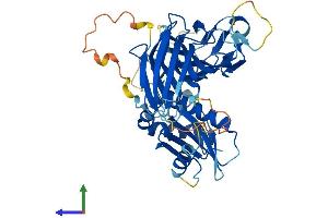 Protein Structure (PS) image for Adaptor-Related Protein Complex 4, mu 1 Subunit (Ap4m1) (AA 1-453) protein (His tag) (ABIN7552294)