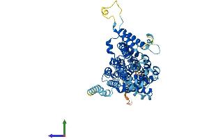 Protein Structure (PS) image for Solute Carrier Family 13 Member 5 (SLC13A5) (AA 1-568) protein (His tag) (ABIN7555295)