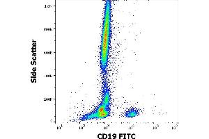 Flow cytometry surface staining pattern of human peripheral whole blood stained using anti-human CD19 (4G7) FITC antibody (20 μL reagent / 100 μL of peripheral whole blood).