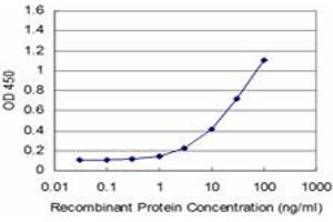 Detection limit for recombinant GST tagged EN1 is approximately 1ng/ml as a capture antibody. (EN1 抗体  (AA 266-392))