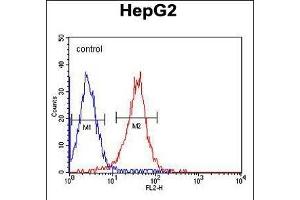 ALDH2 Monoclonal Antibody (ABIN658993 and ABIN2838036) flow cytometric analysis of HepG2 cells (right histogram) compared to a negative control cell (left histogram). (ALDH2 抗体)