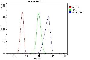 Flow Cytometry analysis of 293T cells using anti- ZAP70 antibody (ABIN7602981). (ZAP70 抗体  (Middle Region))